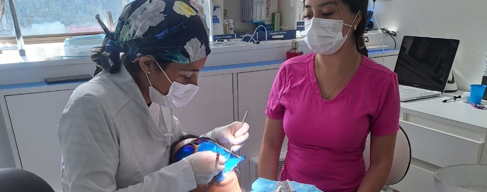 Dra. Daniela Figueroa durante atención clínica de endodoncia